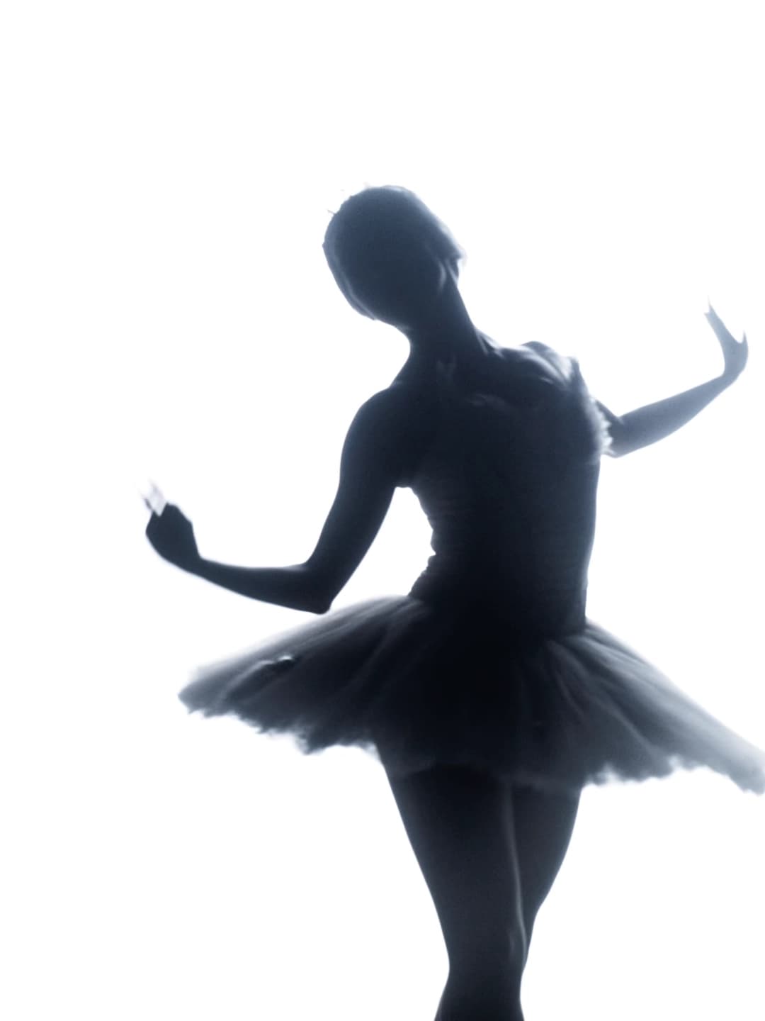 Grand Rapids Ballet — GR Ballet + SALT - Two Companies, One Stage